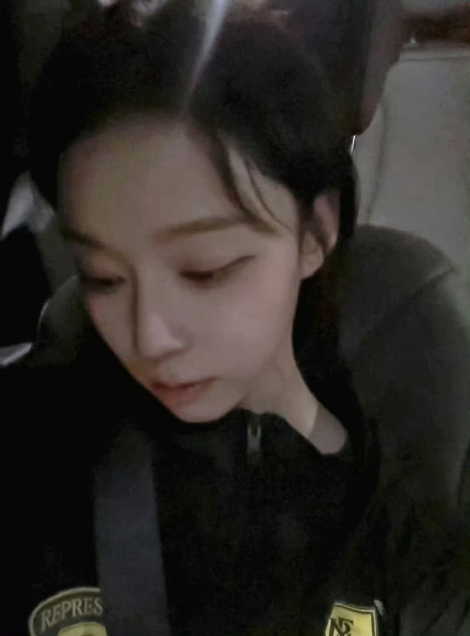 小狗大狗节日快乐