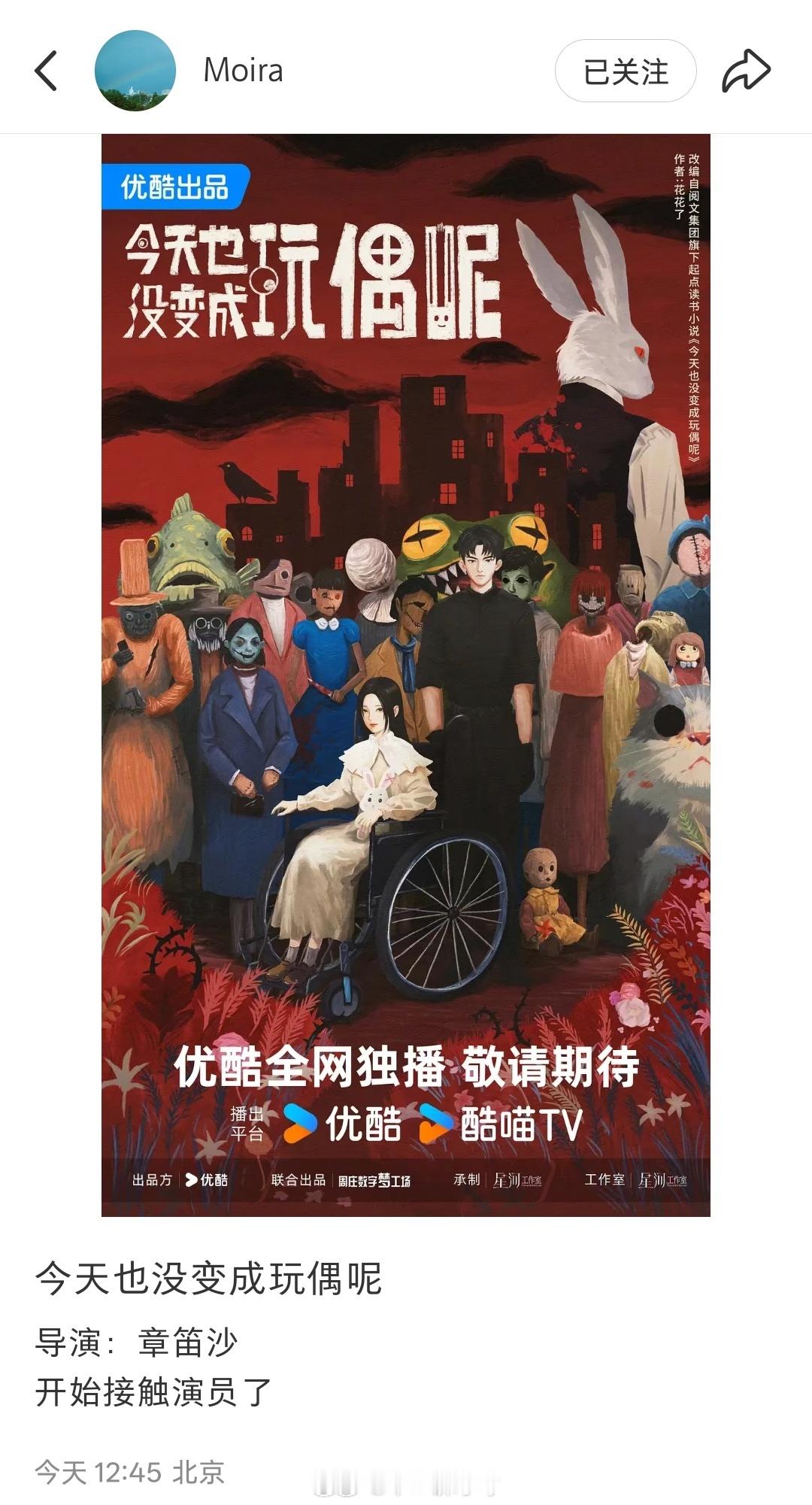 🍉优酷👖《今天也没变成玩偶呢》导演：章笛沙开始接触演员了，目前是95-00这