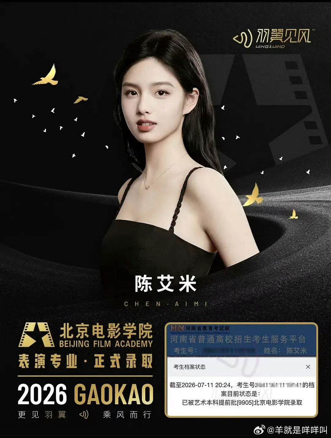 艾米北电正式录取艾米被北电录取了 恭喜妹妹🎉 