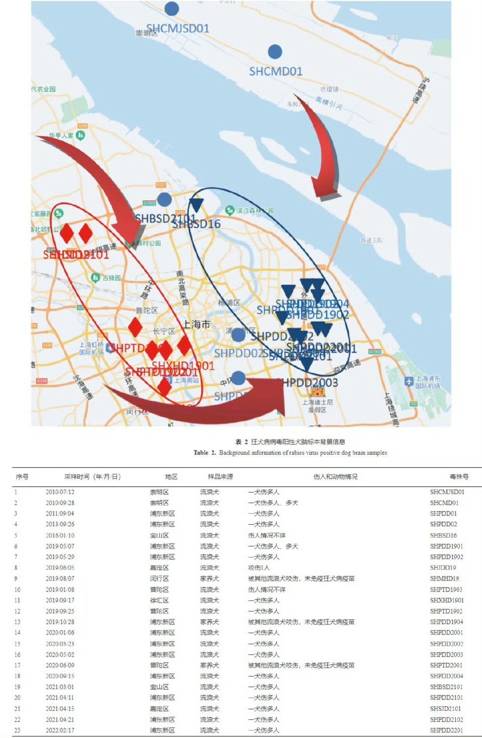 北京海淀现多只流浪狗追咬骑行路人¹ 抖音评论区都是当笑话看。可悲可怜。每年大城市