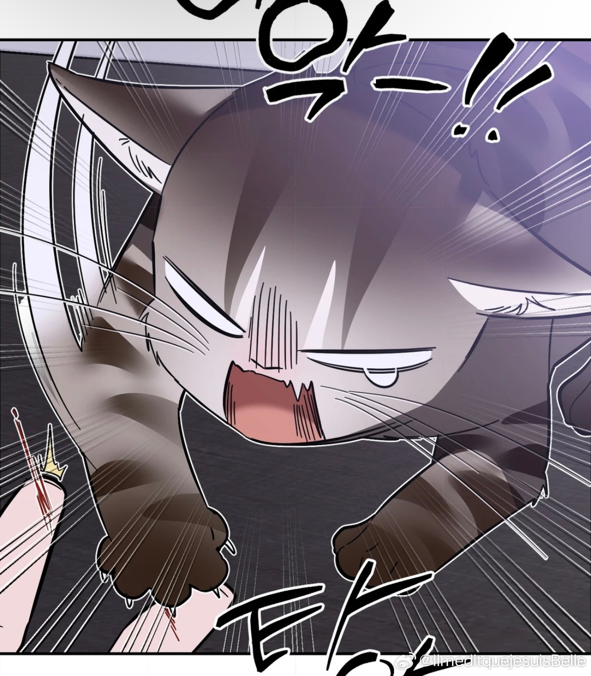 🐈⬛🐈⬛哈哈哈这一话是怂猫猫了知道了泰俊是大老虎🐯有目的接近自己