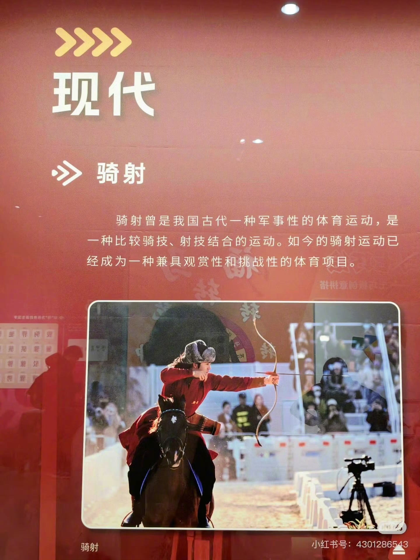 于适骑射进博物馆了于适骑射形象被博物馆收录 不止是演员，更是中国骑射的实力推广者