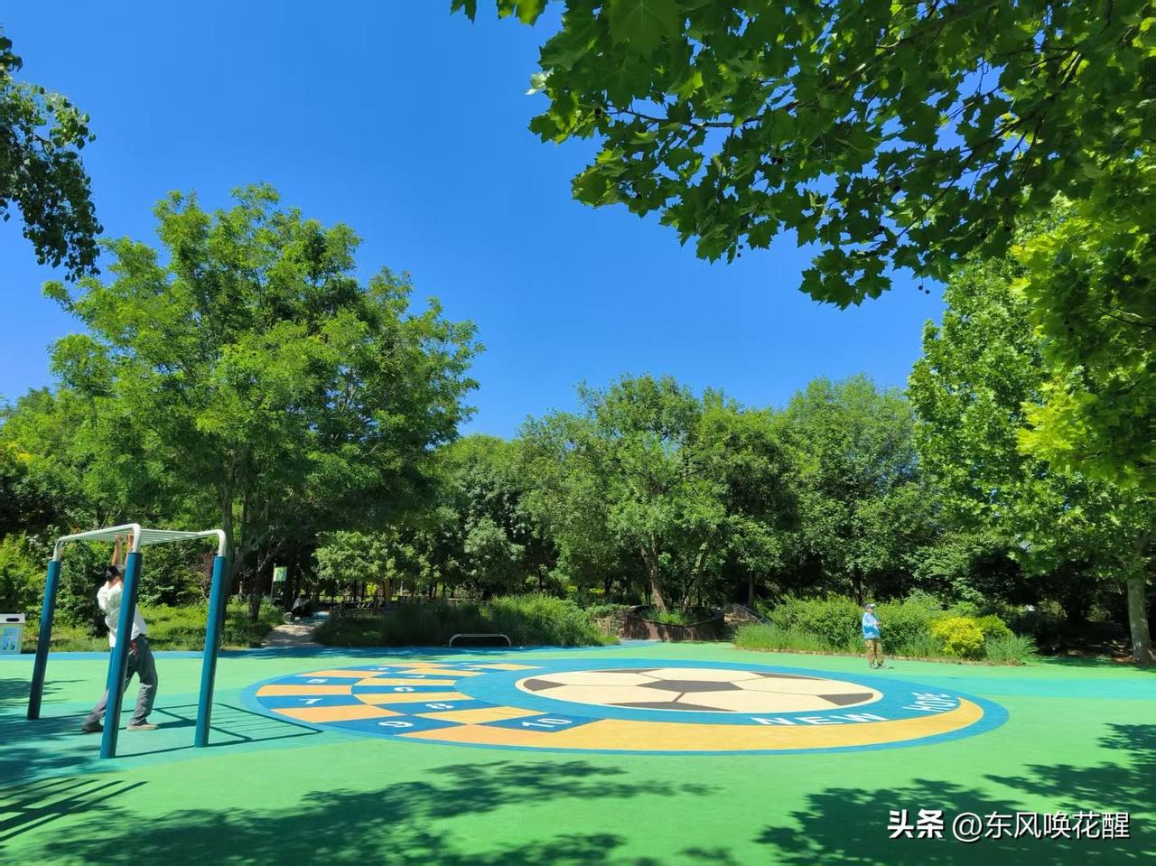 海河东路，刘庄桥往前走不远，有一个河滨公园，去过几次，感觉挺好的。再往前还有一个