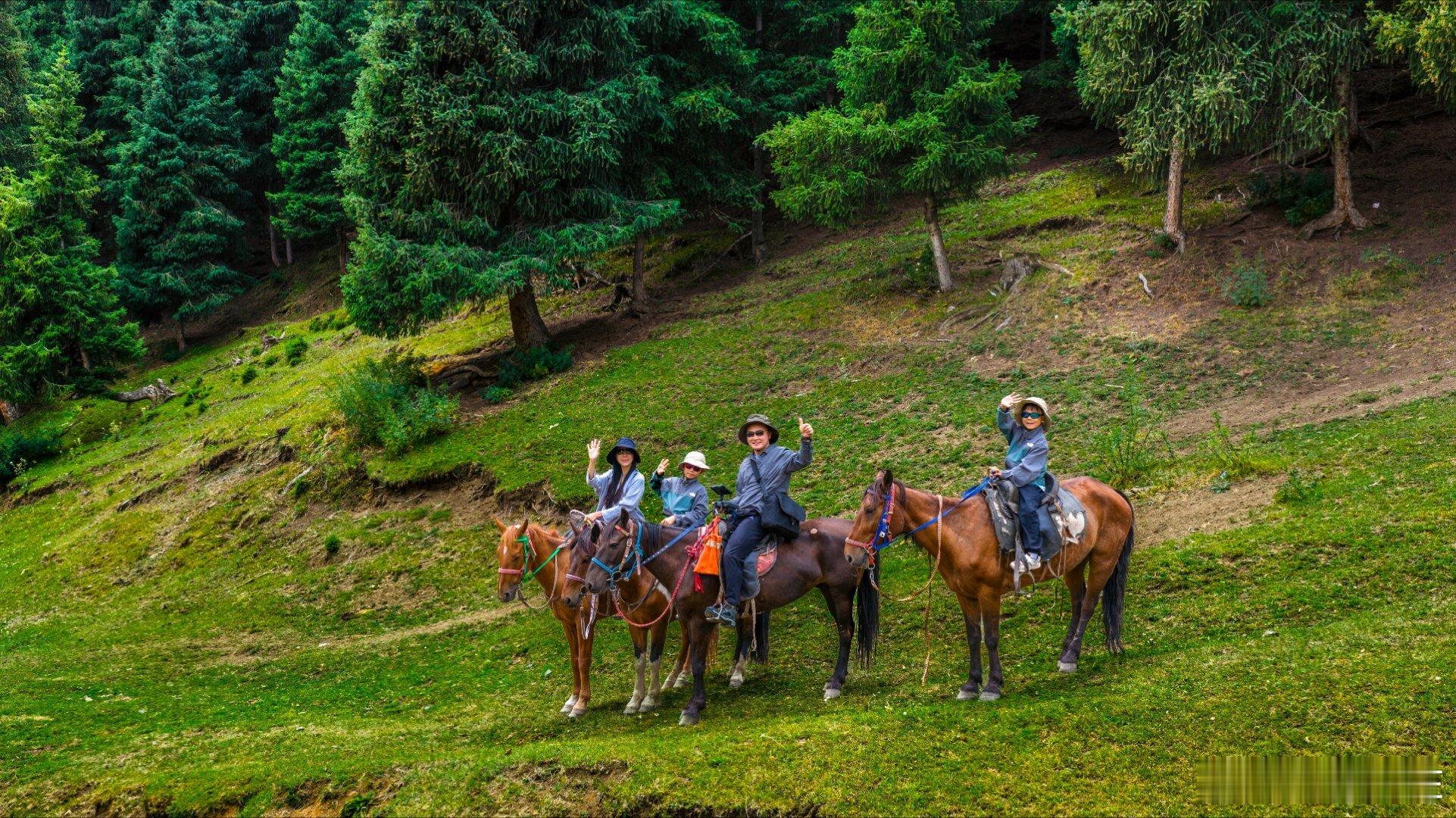 在新疆的草原树林里骑马溜娃 理想旅行家 理想摄影家 ​​​