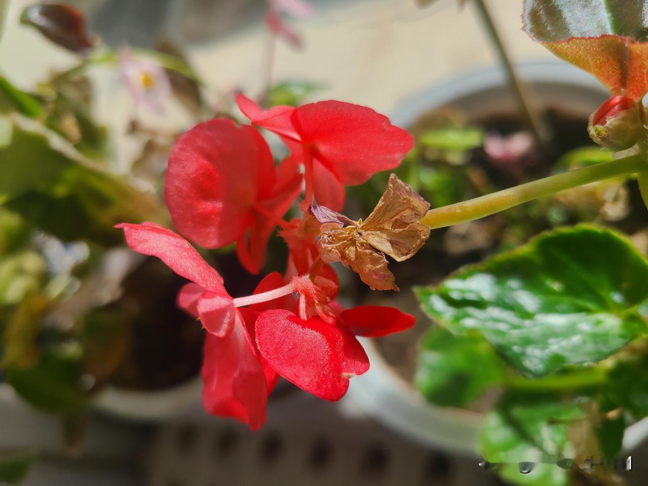 一个人最大的靠山,是什么?
我觉得，一个人最大的靠山，从来不是别人，而是自己。是