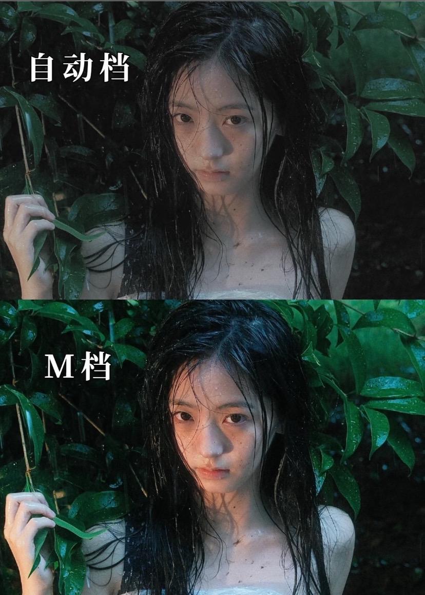相机M档万能口诀。