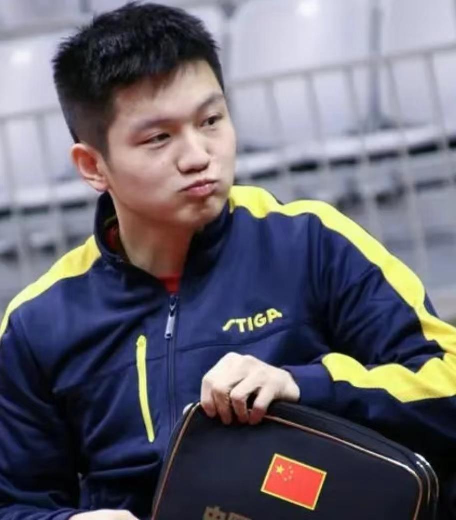 巴黎奥运会后，樊振东将逐渐淡出国家队，他的下一步去向?
 
1、退役后做国家队教