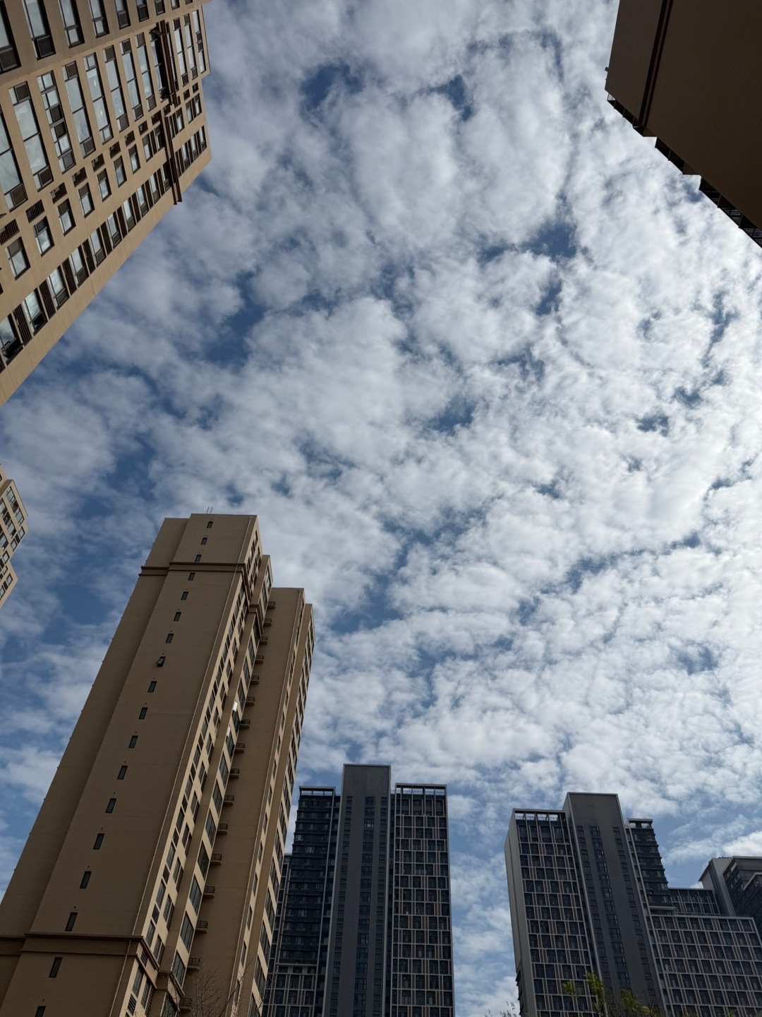 今天天气真不错，先去健身房完成任务✅下午出去溜达一下。