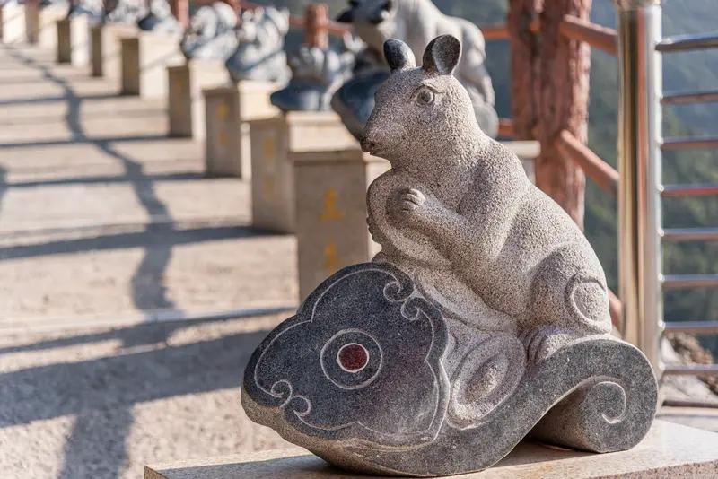 要说生肖鼠的贵人，首推生肖牛。子鼠与丑牛六合，牛踏实稳重，就像春秋时文种辅佐属鼠