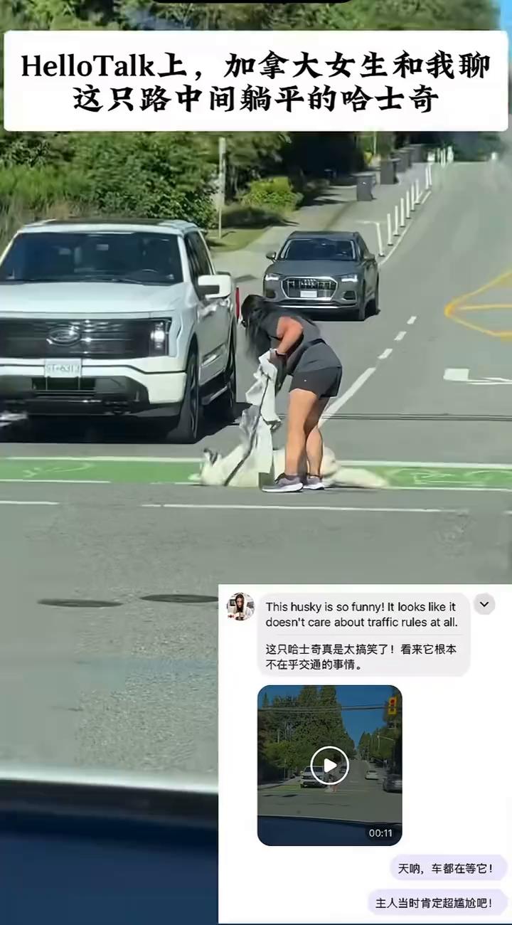 哈哈哈哈。