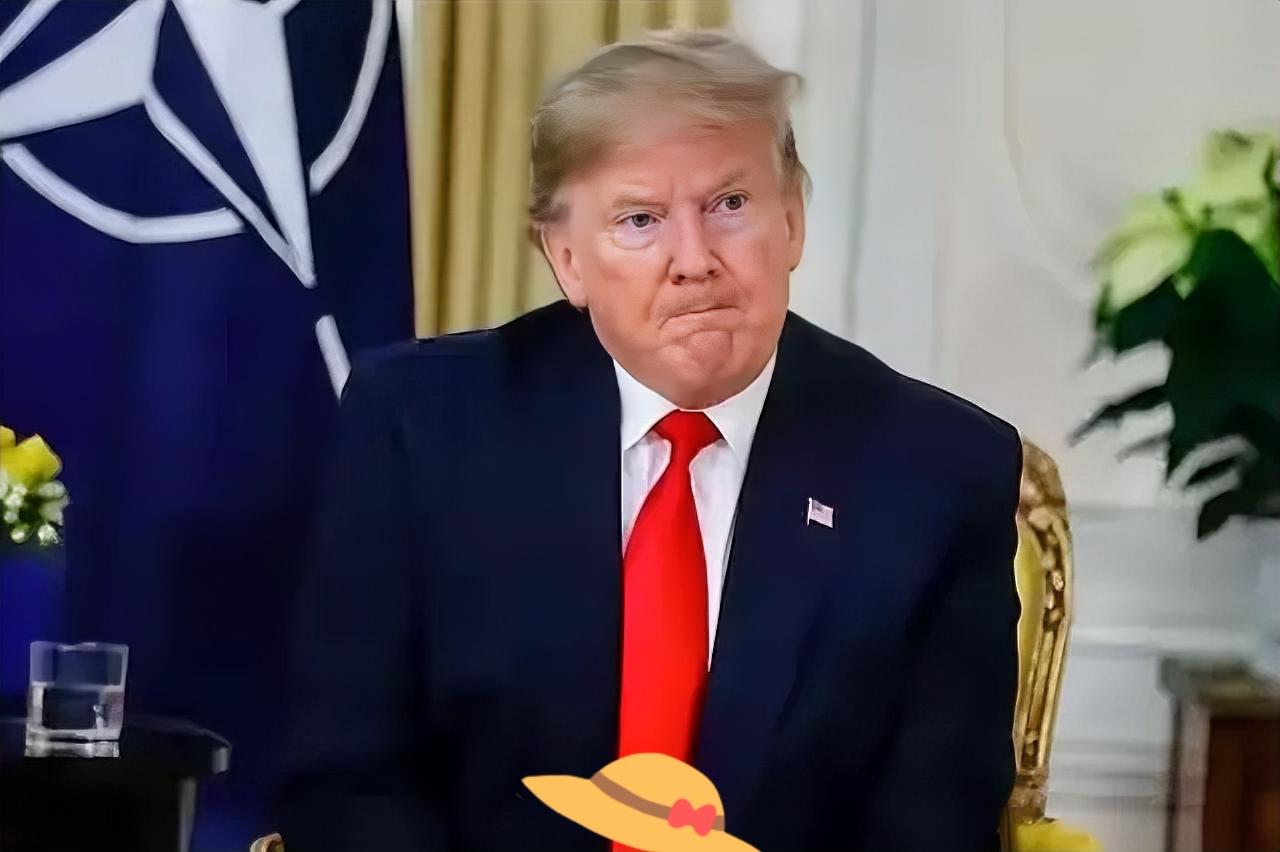 特朗普这回算是说了句大实话，公开承认美国还得买咱们的商品。这话一出，不知道多少美