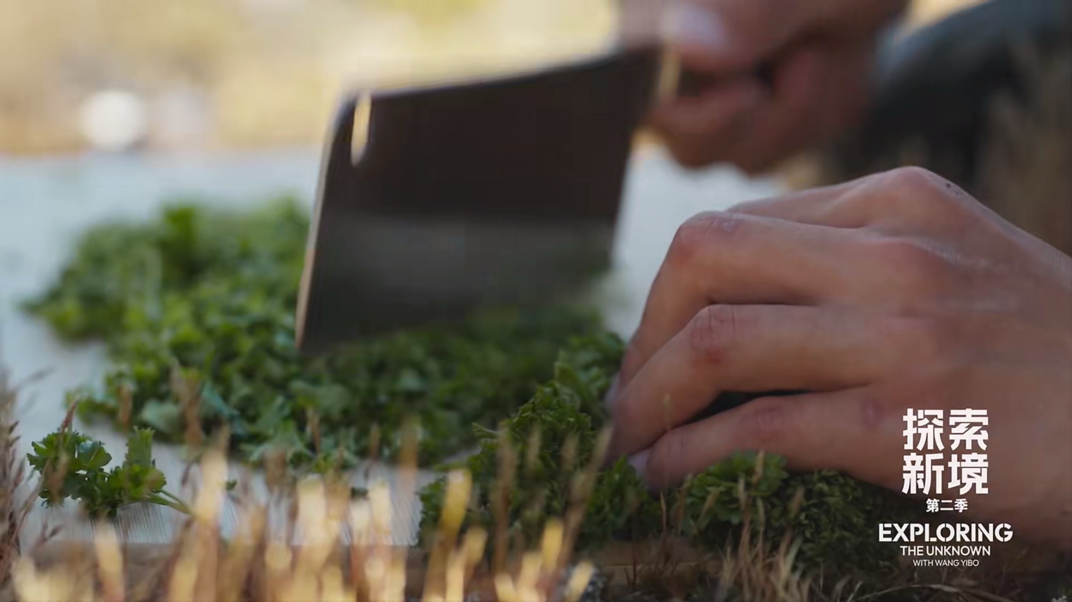 在干嘛 香菜大王处理大香菜探索新境2王一博