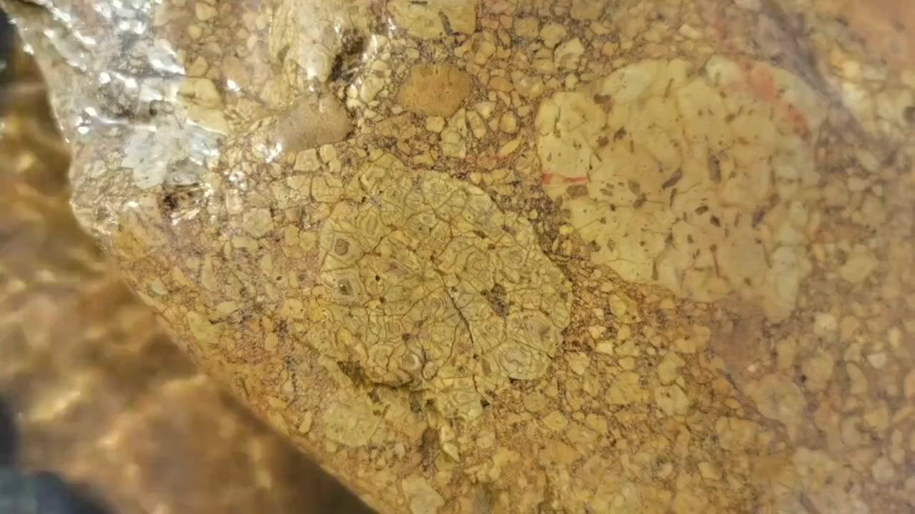 🌌又在汉江捡到宝！这块石头纹理像银河碎片，这样的角砾岩会不会来自月球，它外表和