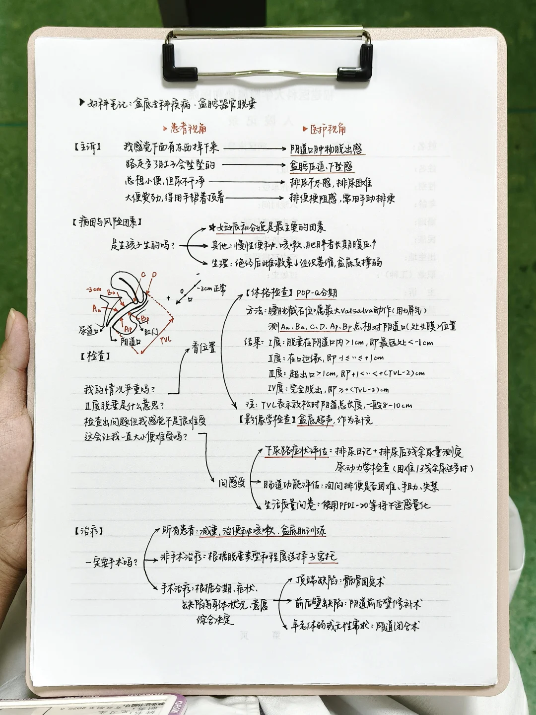 医学生｜学习笔记📝盆腔器官脱垂