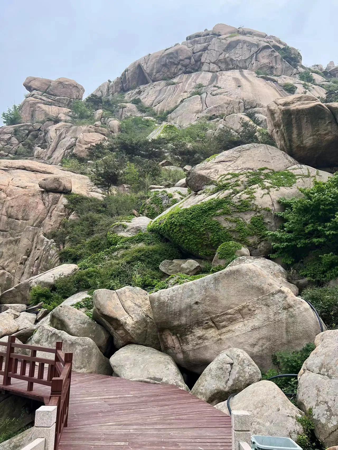 15号供暖
期待温暖如春
大地大山⛰️
巍峨壮观
远看绿油油
近看光悠悠
怪石林