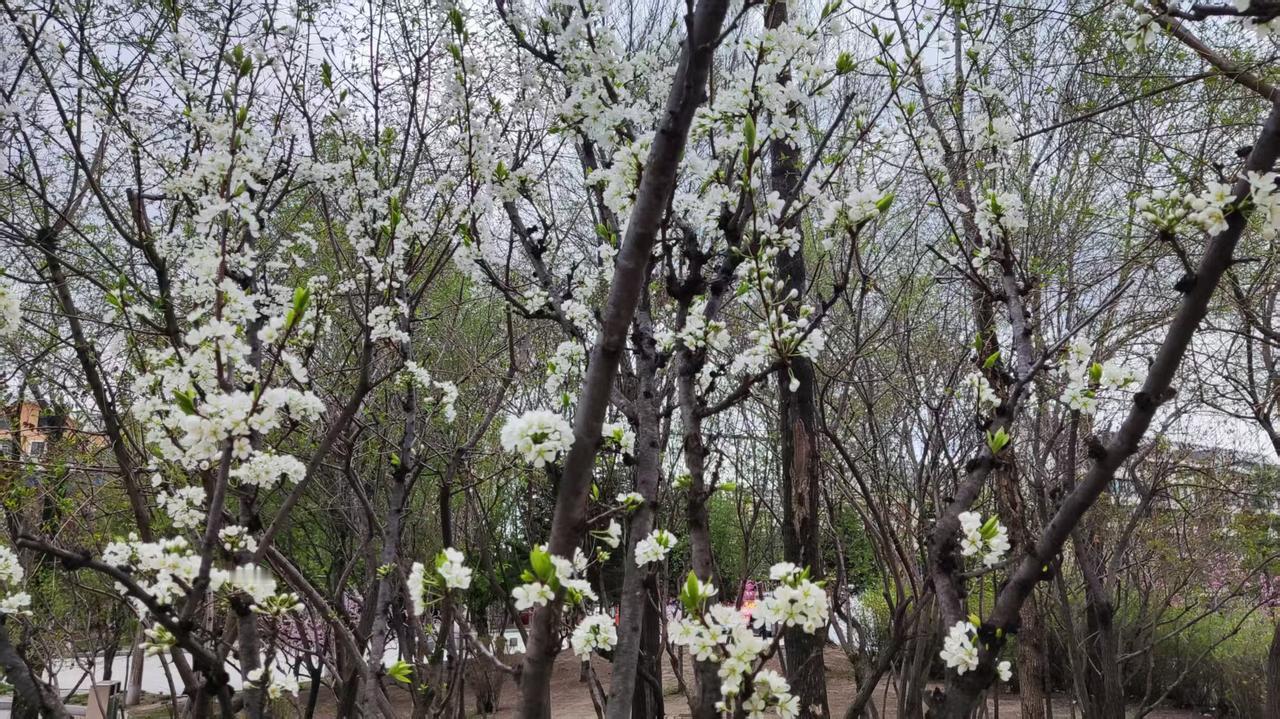 这张假币究竟是谁的？

立夏次日，暖风和煦，柔若无骨的风拂过脸颊，像老友掌心的温