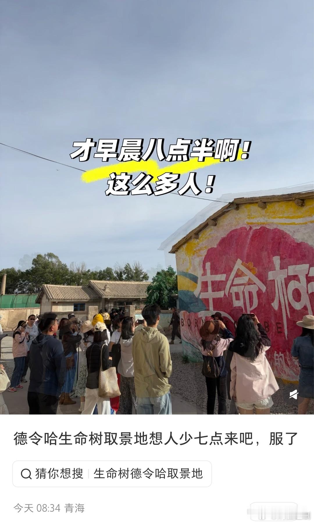 杨紫生命树取景地，迎来了高峰高考后旅游的游客