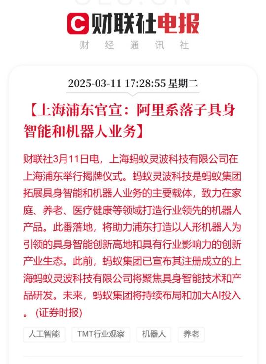 阿里系落子具身智能和机器人业务阿里系具身智能机器人业务落地浦东【上海浦...