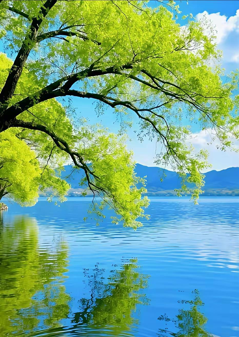 枕着清风闻着花香入眠
 
春风一拂，人间便暖了。
空气清得透亮，像滤过冰雪，又浸