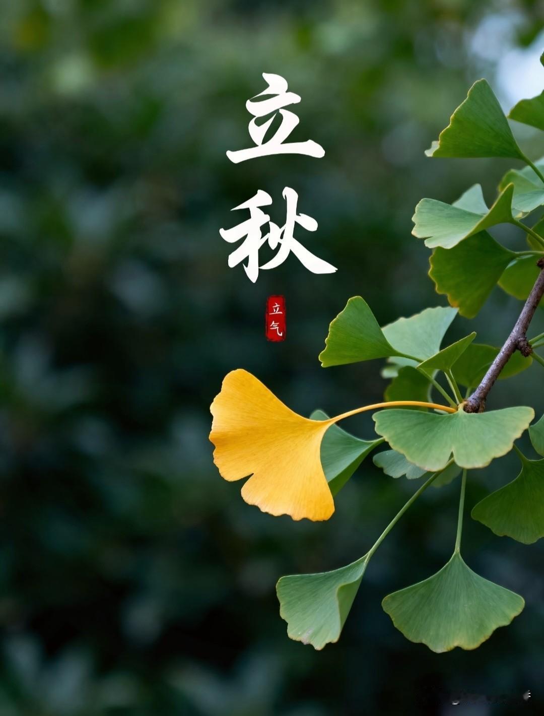 提醒！
8月7日就要立秋，
晚立秋来了，别着急盼凉快…
 
马上就要迎来立秋节气