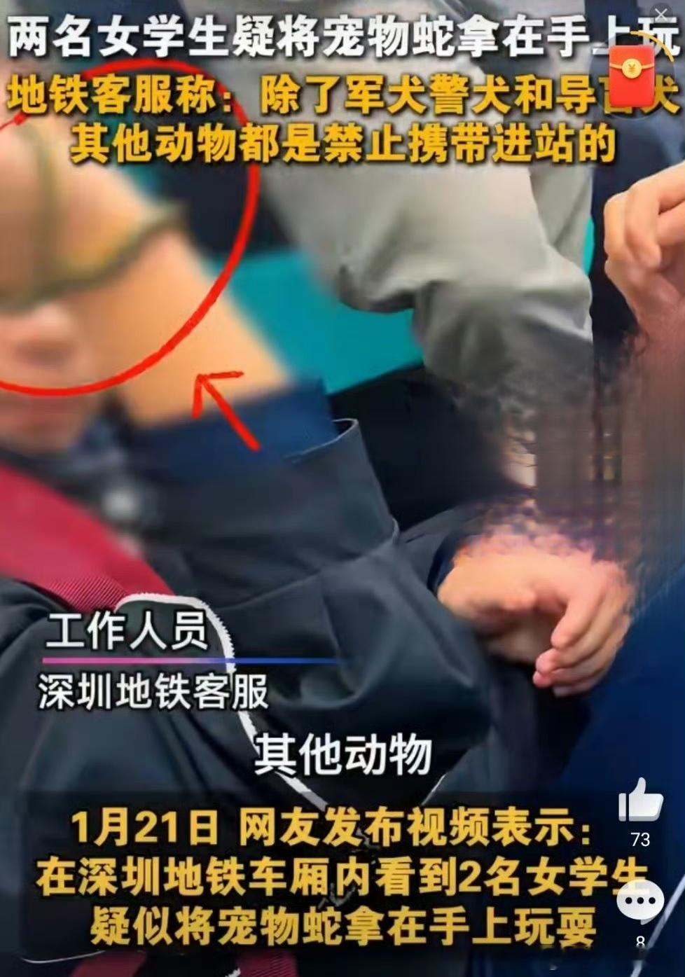 深圳地铁车厢两女生掏出活蛇玩耍真是不懂现在的年轻人，这是要干嘛呀？即便是养宠物也