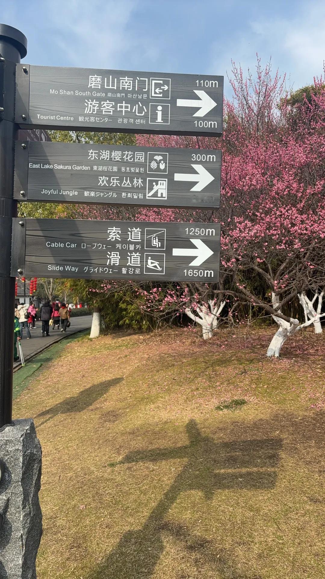 ✅快讯，梅总出局！西西帕斯、卡恰诺夫晋级ATP500多哈站男单八强🔥🔥

7