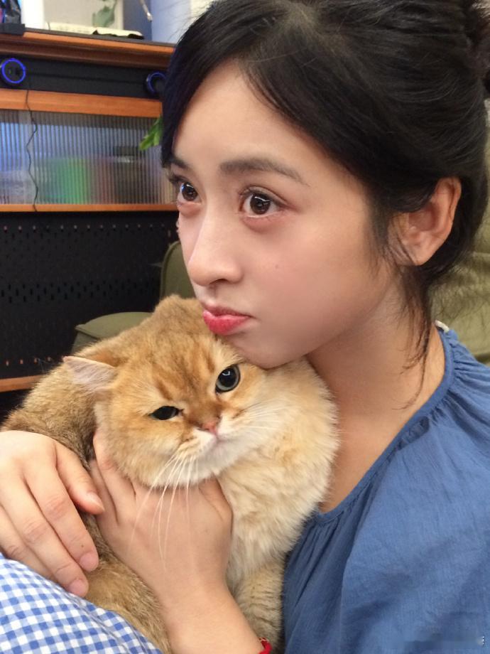 #沈月和猫狗贴贴# ​​​想成为沈月怀里的猫猫[憧憬] ​​​