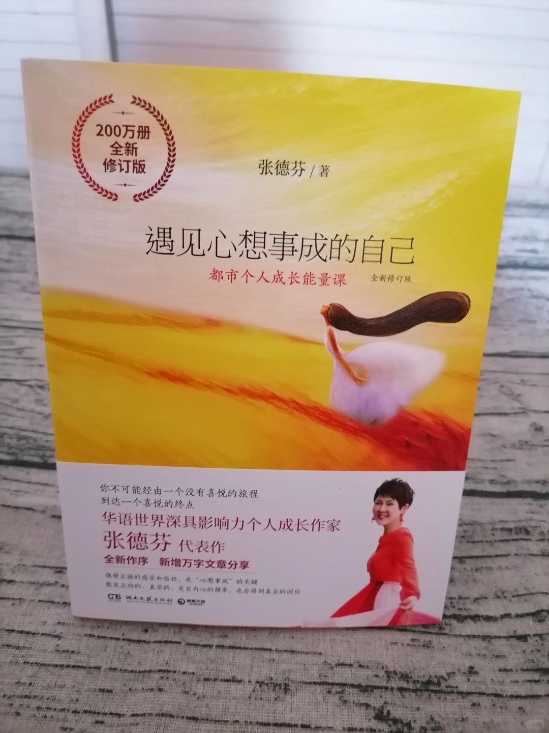 带我们走进一个充满成长能量的都市世界