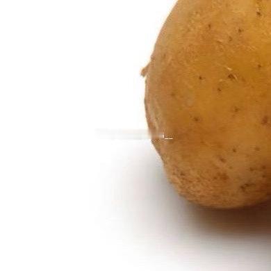 从播种到收获：四季豆家庭种植保姆级教程四季豆（菜豆）是家庭菜园的热门选择，它生长