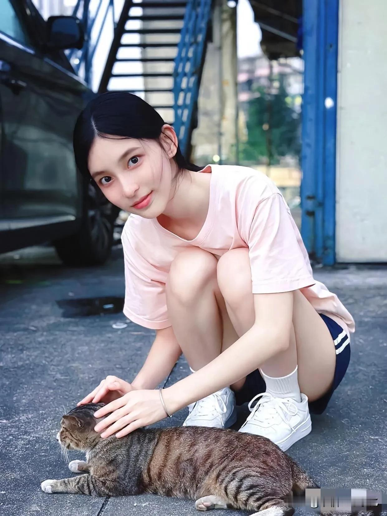我收了一个流浪猫，目前养了2只，家里反对我养，该怎么办？