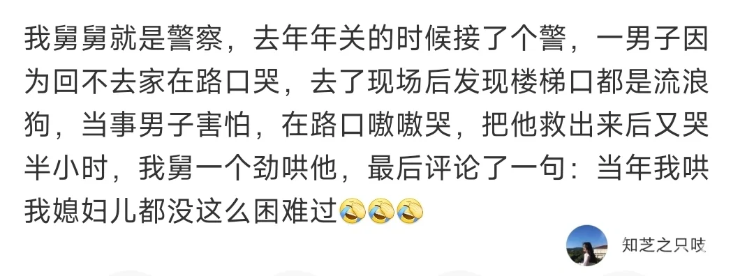 当时那群流浪狗一定在嘲笑他...