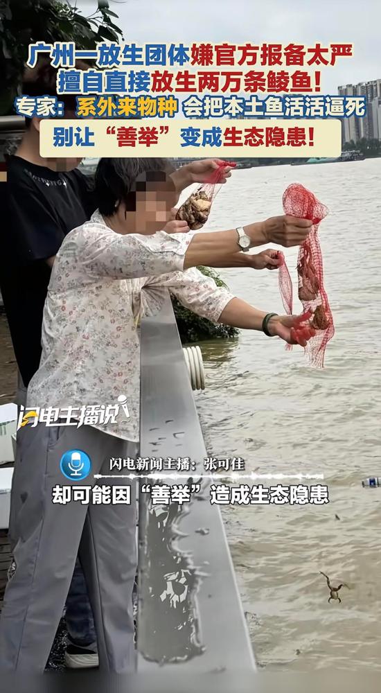 那天，广州荔湾花地河边的事被曝出来了。

大约两万条被当作“鲮鱼”的鱼苗倒进河里