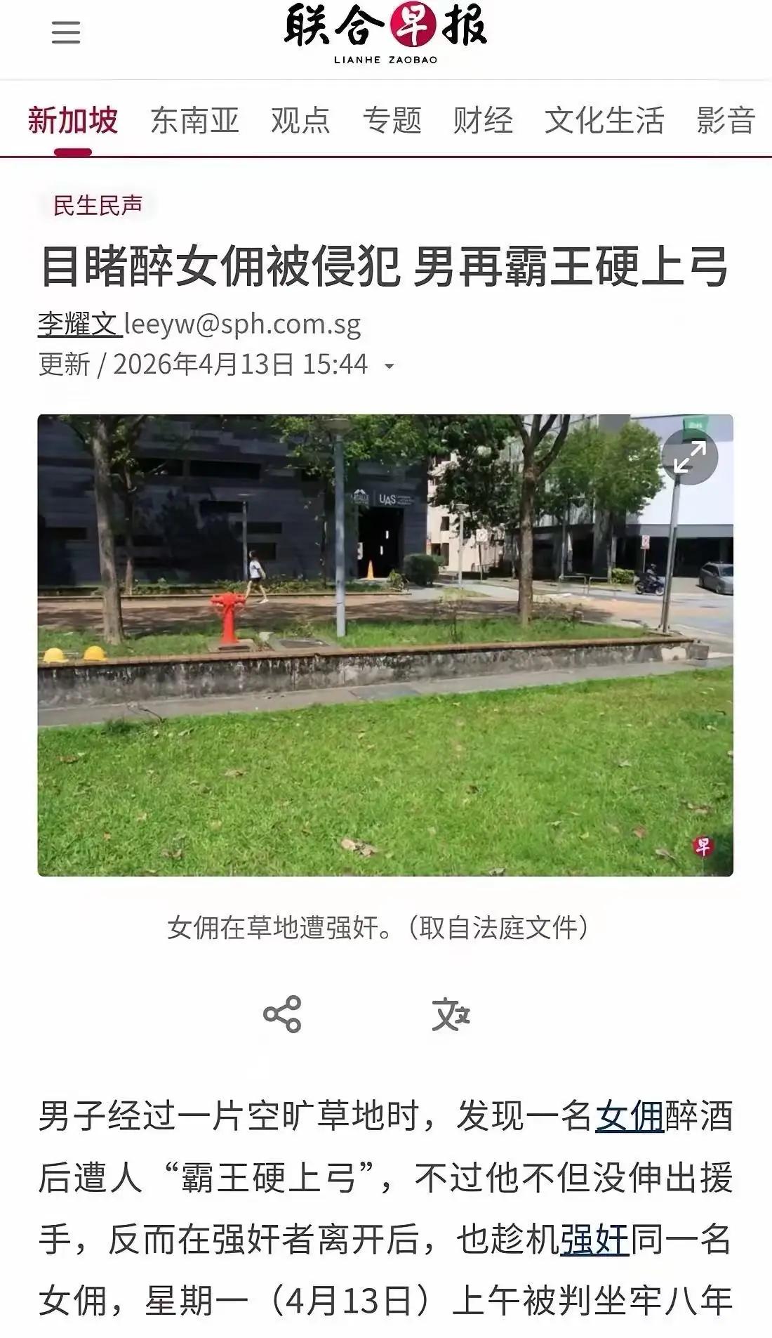 新加坡草坪惊魂：女佣两度遭袭，冷漠看客变禽兽，鞭刑能否抽醒人性之恶？

夕阳下的