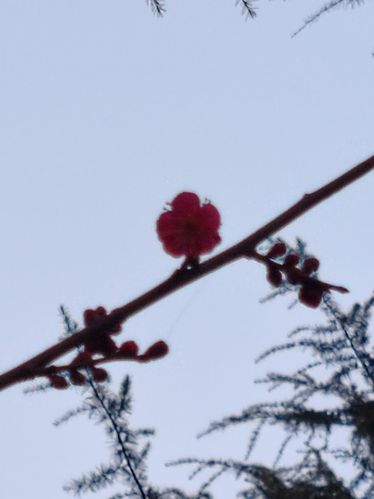 米面油乃生活必备之物，既实用又实在，走亲访友送上这些，着实贴心。米面油不易损坏，