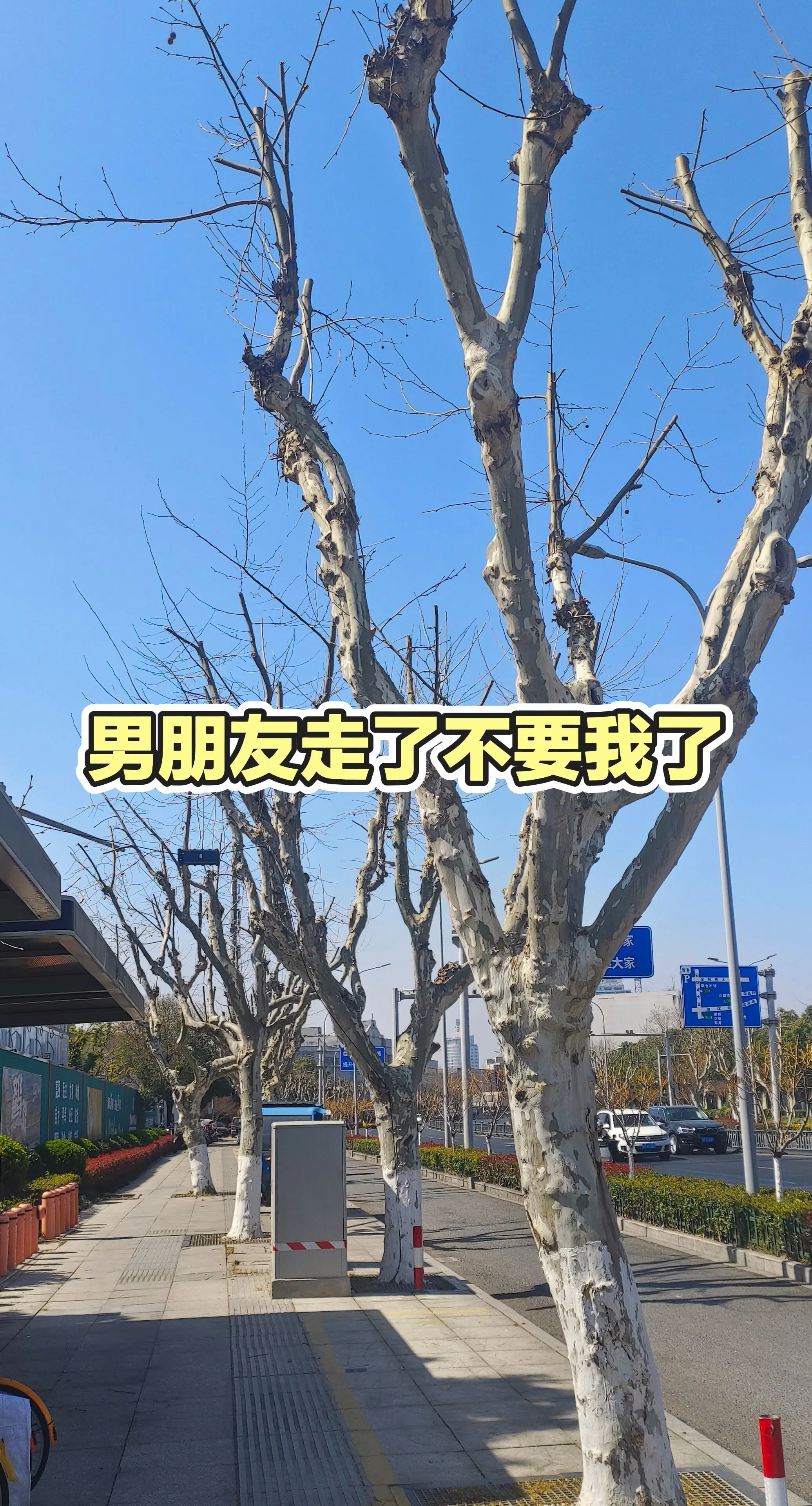 分享有趣视频