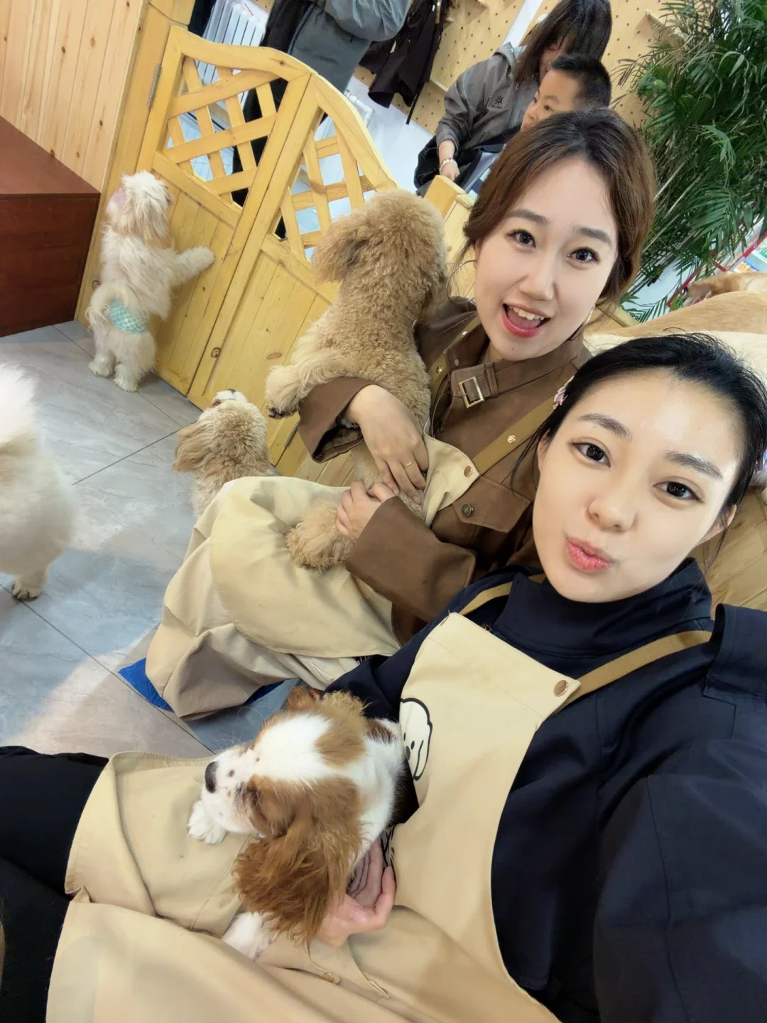 佳木斯的小狗咖🐶超多修勾勾‼️
