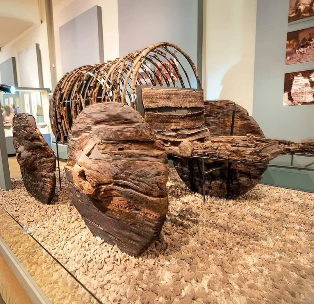 这辆橡木马车估计有大约 4,000 年历史，是在塞凡湖附近的 Lcha...