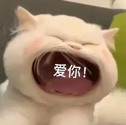 大嘴猫表情包 ​​​