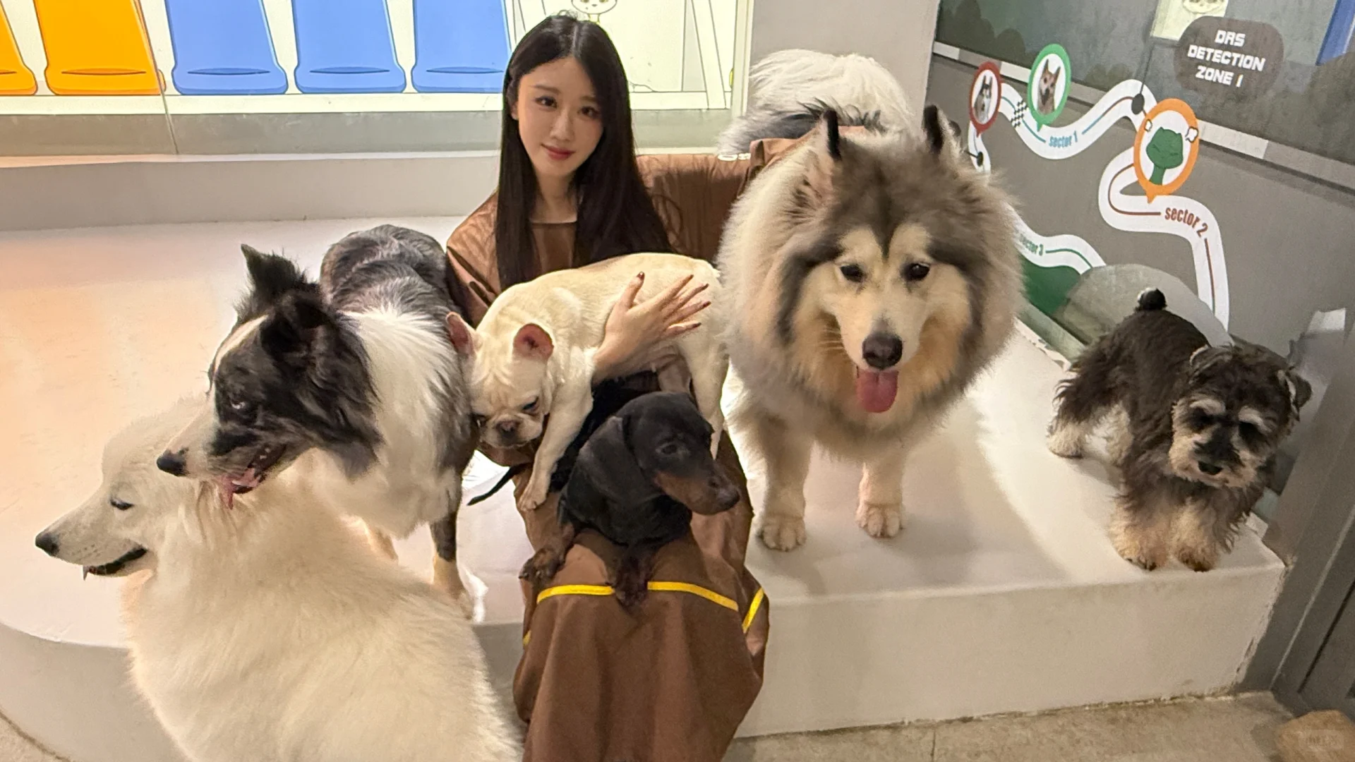 又来喽