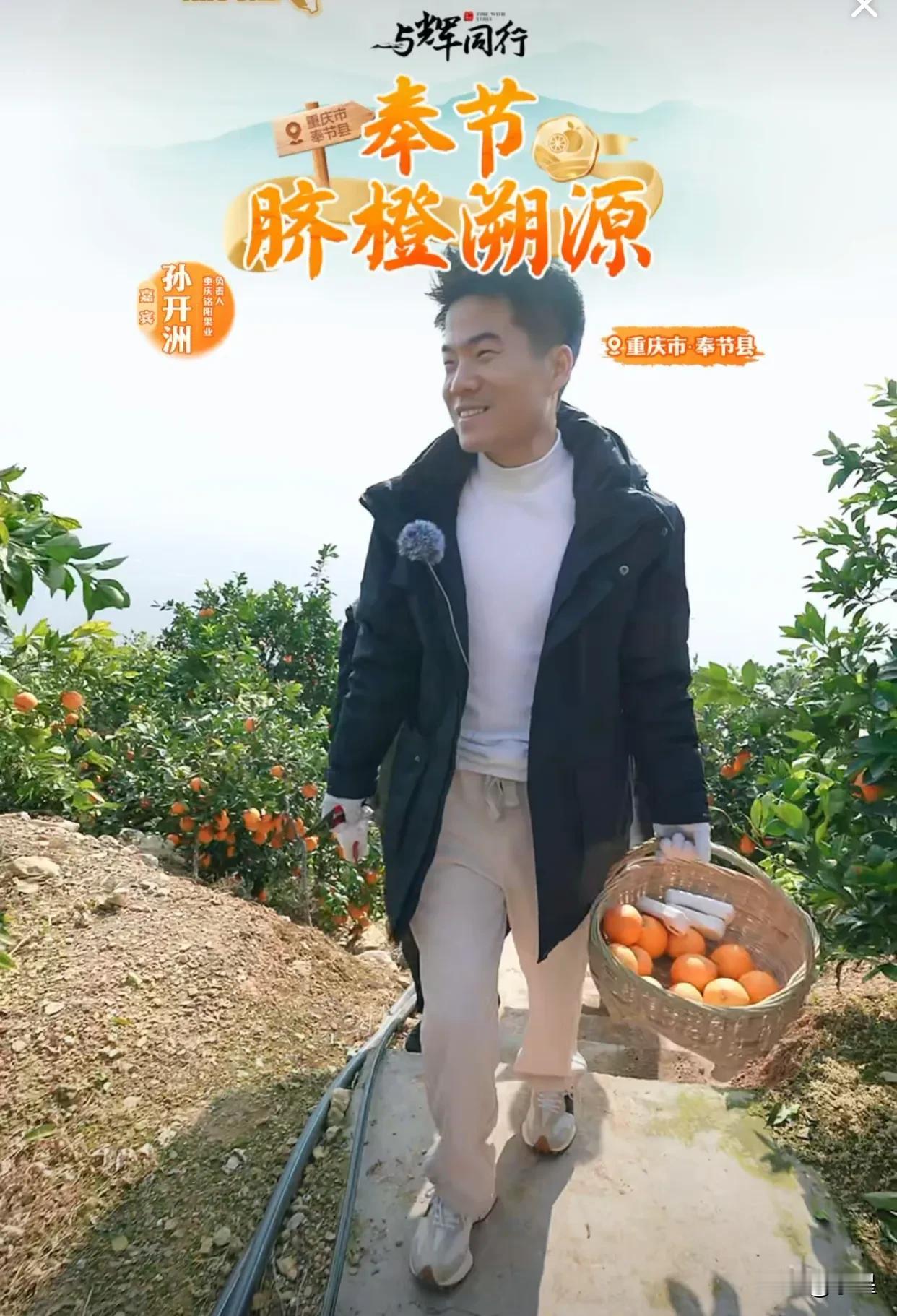 董宇辉重庆奉节脐橙溯源之旅开始了
大中午的，直播间20万人跟他一起逛橙园
20多