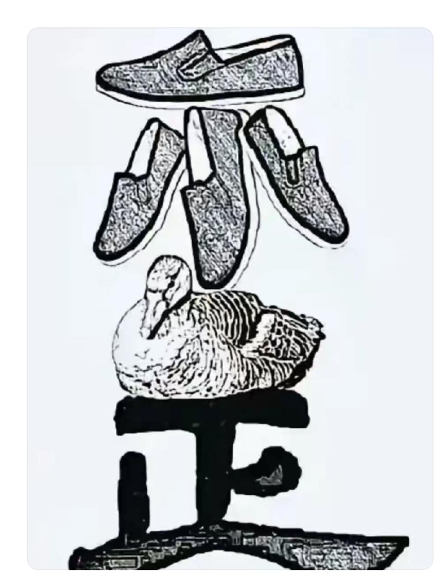 〔看图猜成语〕图中隐藏成语。你能看出来吗？拭目以待。温馨提示：谐音猜字。