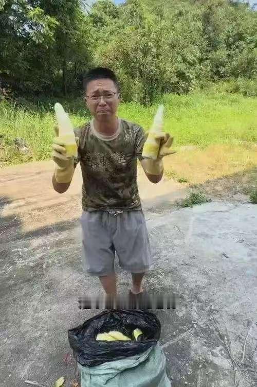 🐒太难了！百亿麻竹笋产业，经不起一锅硫磺。
 
山沟里几缕刺鼻的硫磺白烟，差点