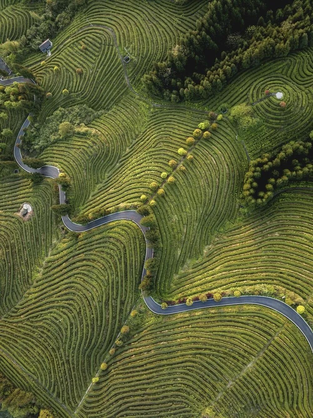 【所有遇到的问题，其实就是一个闯关的过程，关关难过，关关过；有人愿意接纳经历过的