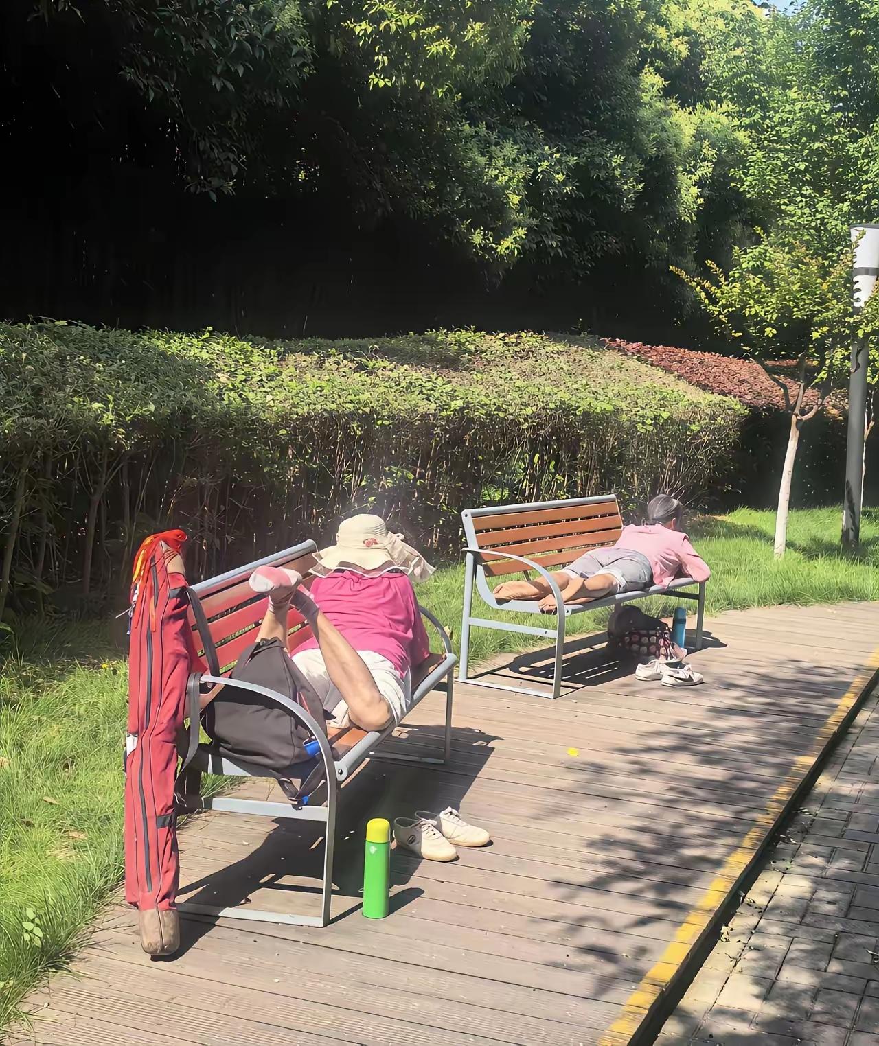 公园的长椅，全被出来晒背的大爷大妈占据了。

有人说，这些老人缺乏公德心，颇有几