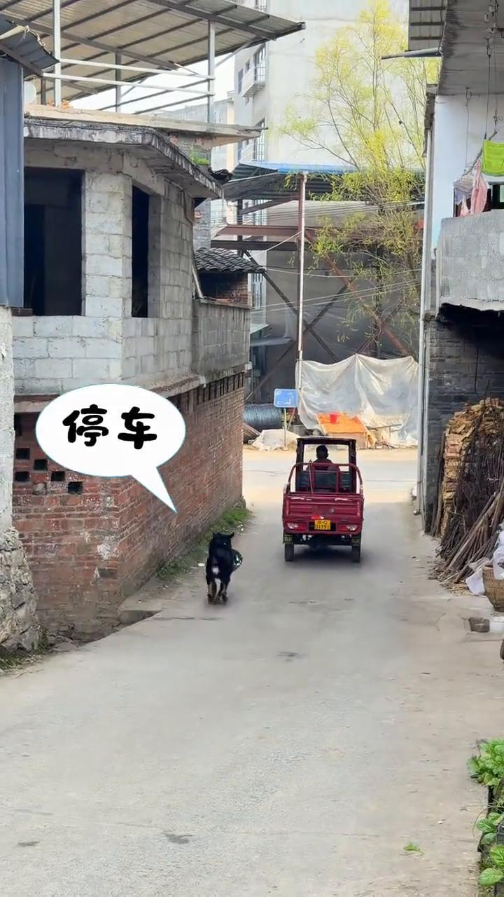 站住，停车。人呢？我要报警。
