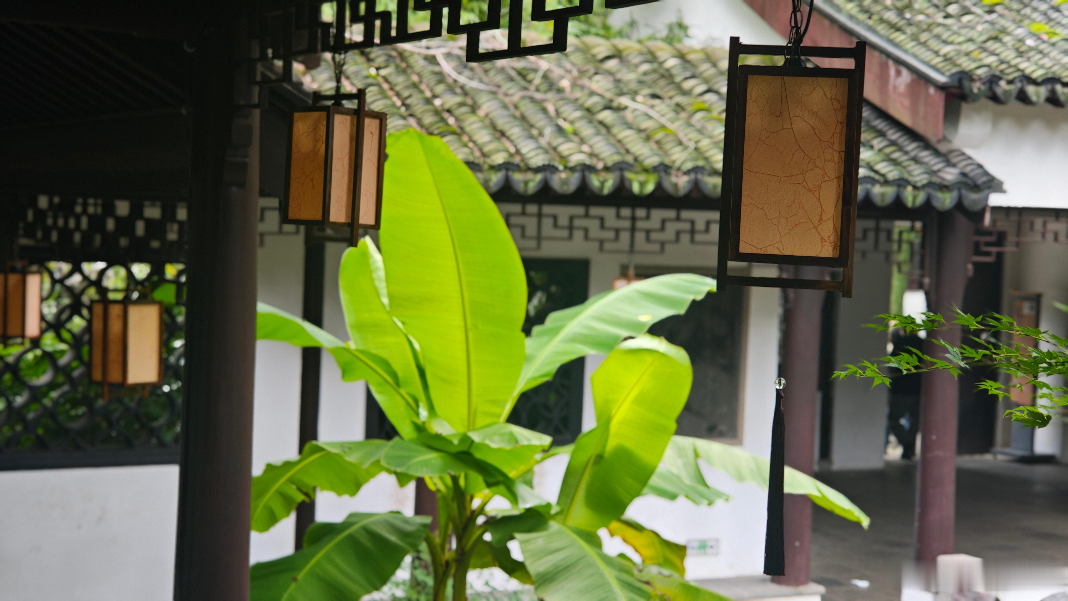蒙曼蒙曼     阅《蒙曼四时之诗之杜秋娘金缕衣》篇观后感  初次阅读这篇，心里