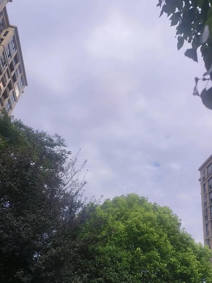 可有可无的关系，不如痛快的放手，越纠缠时间越久，心就越痛。

也许当时不联系，心