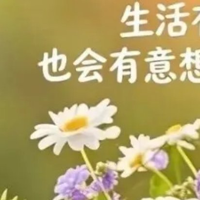 生活从不会亏待每一个认真赶路的人，你默默付出的努力，终会在某一天开出最美的花，照