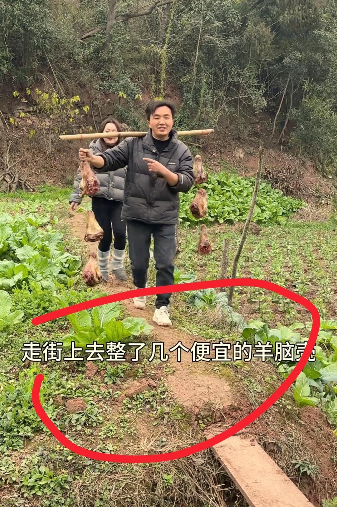 我预料到了，徐三娃会带着6只羊头过来岳母家
也预料到了侄女徐阳，会跟着来，而且会