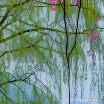 不管是友情还是爱情，你来，我热情相拥。你走，我坦然放手忘记，失去的，感激拥有的，